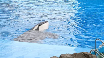 名古屋港水族館に投稿された画像（2022/11/20）