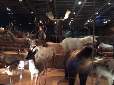 国立科学博物館に投稿された画像（2022/11/20）