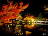 国営昭和記念公園 秋の夜散歩に投稿された画像（2022/11/20）
