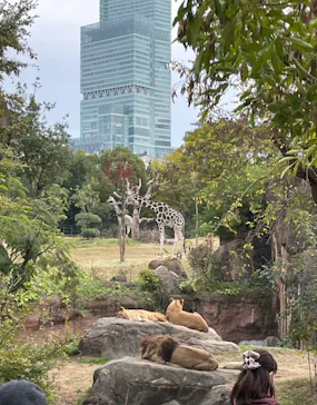 天王寺動物園に投稿された画像（2022/11/20）