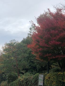 博物館 明治村に投稿された画像（2022/11/20）