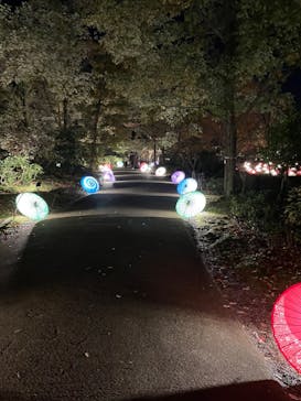 国営昭和記念公園 秋の夜散歩に投稿された画像（2022/11/20）