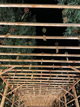 国営昭和記念公園 秋の夜散歩に投稿された画像（2022/11/20）