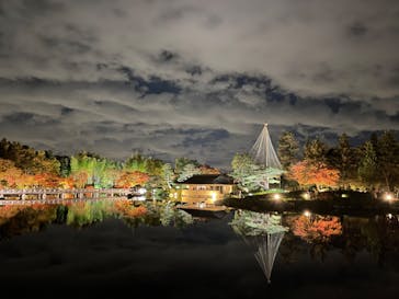 国営昭和記念公園 秋の夜散歩に投稿された画像（2022/11/20）