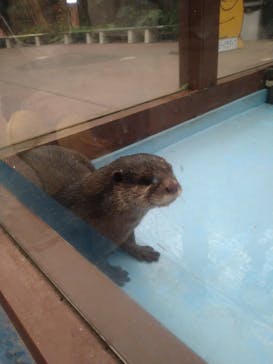 ゼロ距離水族館 伊勢シーパラダイスに投稿された画像（2022/11/20）