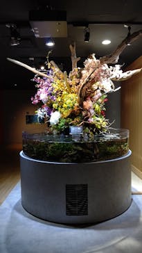 スマートアクアリウム静岡に投稿された画像（2022/11/20）