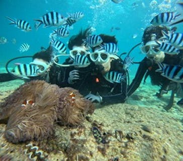 青の洞窟専門店　沖縄ダイビングショップ和に投稿された画像（2022/11/20）