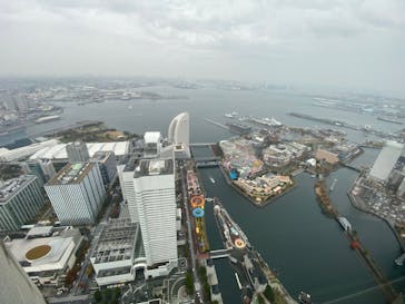 横浜ランドマークタワー 69階展望フロア スカイガーデンに投稿された画像（2022/11/20）