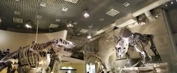 国立科学博物館に投稿された画像（2022/11/20）