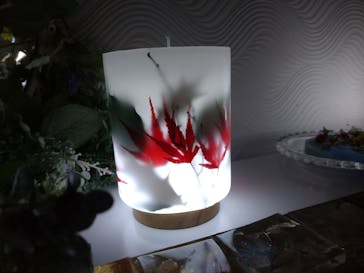 ずこうしつ〜sugamo〜に投稿された画像（2022/11/20）