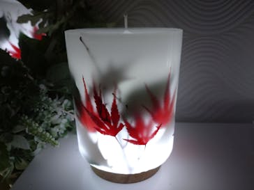 ずこうしつ〜sugamo〜に投稿された画像（2022/11/20）