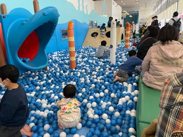 伊豆・三津シーパラダイスに投稿された画像（2022/11/20）