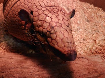 伊豆シャボテン動物公園に投稿された画像（2022/11/20）