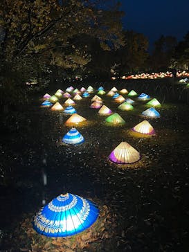 国営昭和記念公園 秋の夜散歩に投稿された画像（2022/11/20）