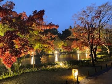 国営昭和記念公園 秋の夜散歩に投稿された画像（2022/11/20）