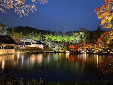 国営昭和記念公園 秋の夜散歩に投稿された画像（2022/11/20）