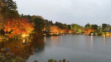 国営昭和記念公園 秋の夜散歩に投稿された画像（2022/11/20）