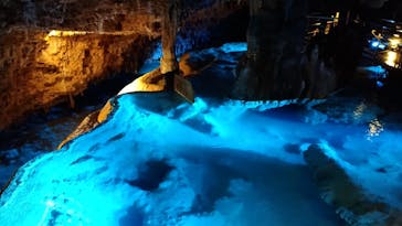 おきなわワールドに投稿された画像（2022/11/20）