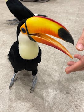 アニタッチみなとみらいに投稿された画像（2022/11/20）