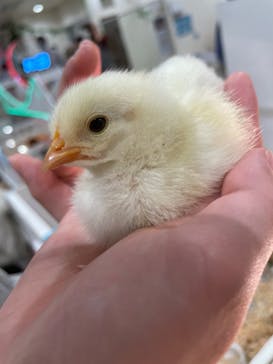 アニタッチみなとみらいに投稿された画像（2022/11/20）