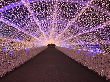 東京メガイルミに投稿された画像（2022/11/20）