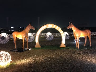 東京メガイルミに投稿された画像（2022/11/20）