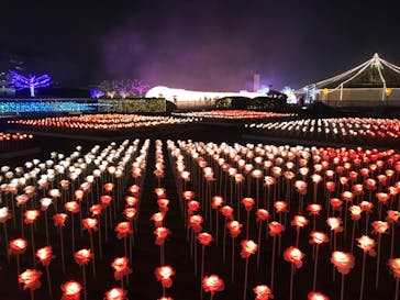 東京メガイルミに投稿された画像（2022/11/20）