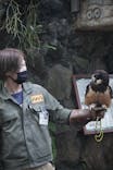 伊豆シャボテン動物公園に投稿された画像（2022/11/20）