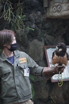 伊豆シャボテン動物公園に投稿された画像（2022/11/20）