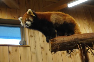 伊豆シャボテン動物公園に投稿された画像（2022/11/20）