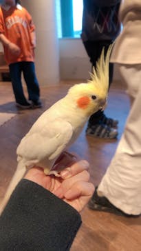 Moff animal cafe 小田原ダイナシティ店に投稿された画像（2022/11/20）