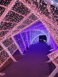 KYOTO ILLUMINATION SYNESTHESIA HILLS るり渓温泉に投稿された画像（2022/11/20）
