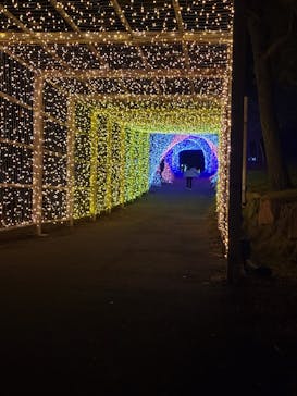 KYOTO ILLUMINATION SYNESTHESIA HILLS るり渓温泉に投稿された画像（2022/11/20）