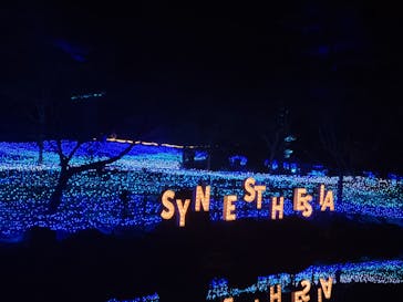 KYOTO ILLUMINATION SYNESTHESIA HILLS るり渓温泉に投稿された画像（2022/11/20）