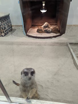 アニタッチみなとみらいに投稿された画像（2022/11/20）