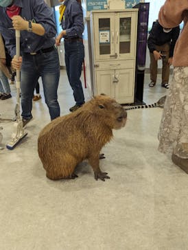 アニタッチみなとみらいに投稿された画像（2022/11/20）