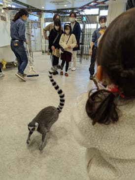 アニタッチみなとみらいに投稿された画像（2022/11/20）