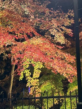 ムーミンバレーパークに投稿された画像（2022/11/20）