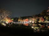 国営昭和記念公園 秋の夜散歩に投稿された画像（2022/11/20）