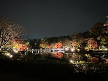 国営昭和記念公園 秋の夜散歩に投稿された画像（2022/11/20）