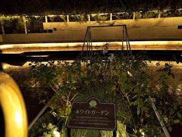 西武園ゆうえんちに投稿された画像（2022/11/20）