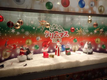 しながわ水族館に投稿された画像（2022/11/20）