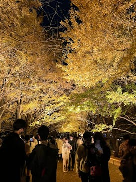 国営昭和記念公園 秋の夜散歩に投稿された画像（2022/11/20）