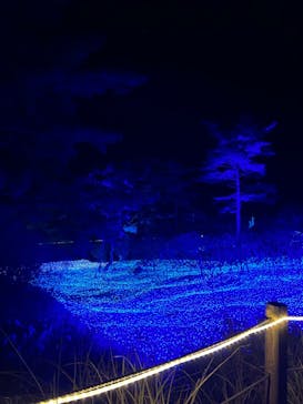 KYOTO ILLUMINATION SYNESTHESIA HILLS るり渓温泉に投稿された画像（2022/11/20）
