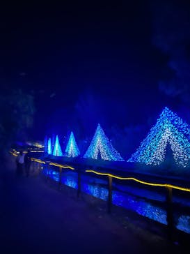 KYOTO ILLUMINATION SYNESTHESIA HILLS るり渓温泉に投稿された画像（2022/11/20）