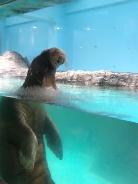 伊豆・三津シーパラダイスに投稿された画像（2022/11/20）