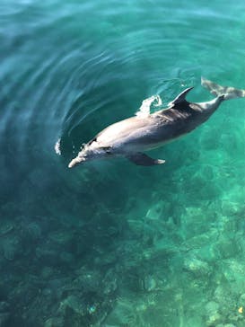 伊豆・三津シーパラダイスに投稿された画像（2022/11/20）