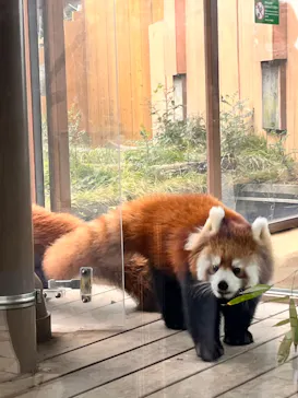 横浜・八景島シーパラダイスに投稿された画像（2022/11/20）