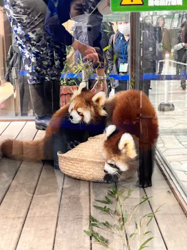 横浜・八景島シーパラダイスに投稿された画像（2022/11/20）