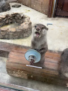 横浜・八景島シーパラダイスに投稿された画像（2022/11/20）